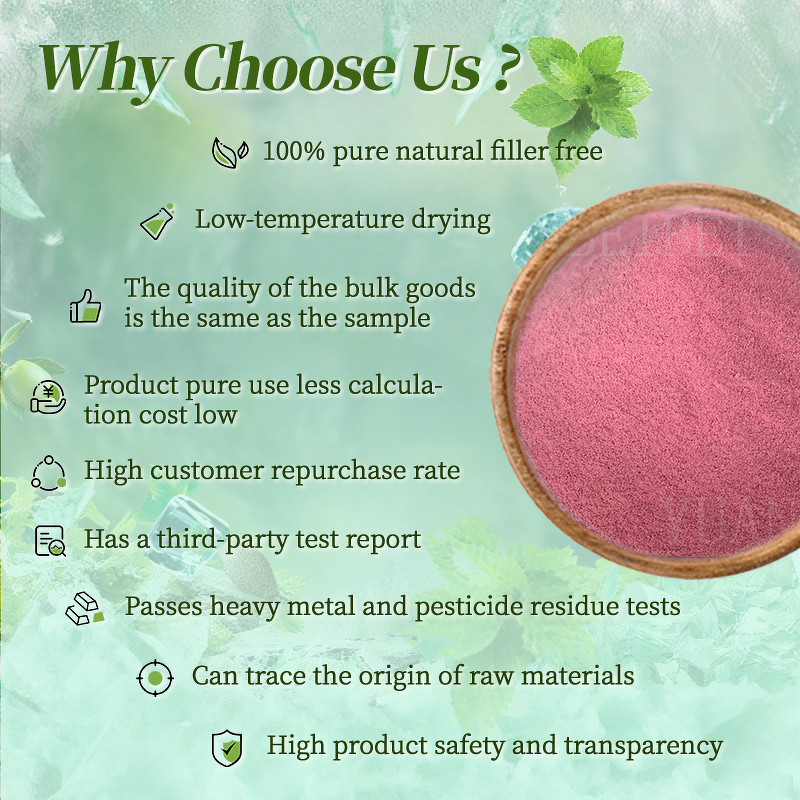 Acerola Cherry Powder - Manufacturer - Wholesale Pure Organic Acerola Cherry Extract Powder