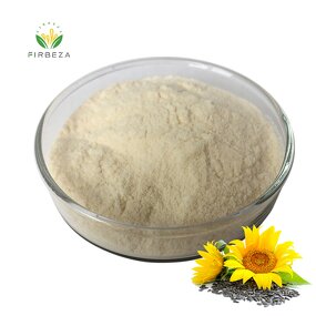 Sunflower Lecithin - Manufacturer - Wholesale Bulk 100% Pure Organic Phosphatidylcholine