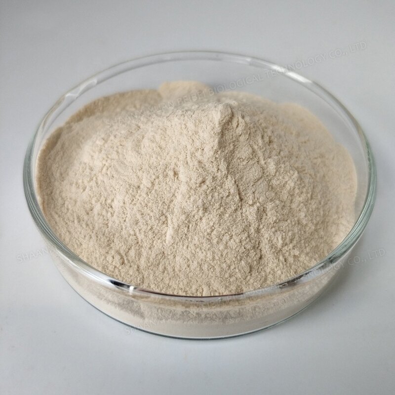 Beta Glucan Powder - Manufacturer - Bulk 80% Yeast Beta-glucan Pure Natural Powder