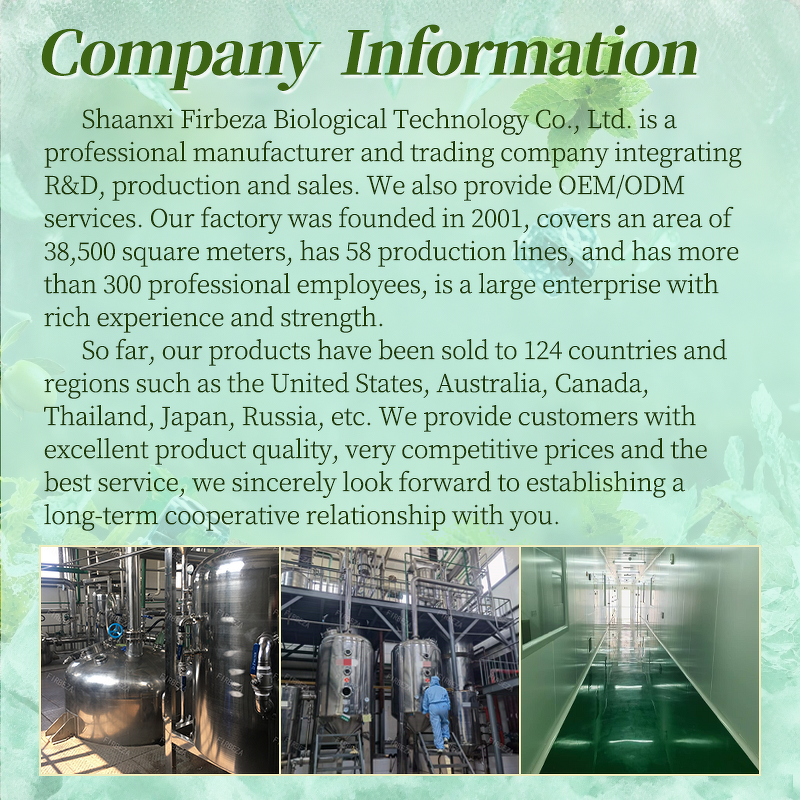 Apple Powder - Manufacturer - Wholesale Bulk Instant Concentrate Juice Apple Extract Powder