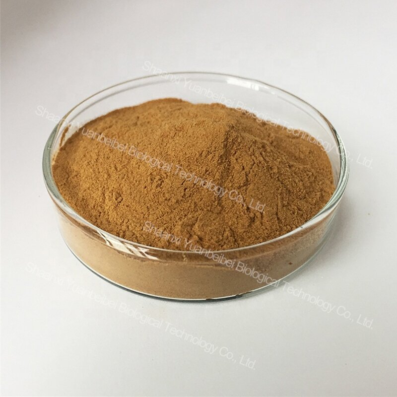 Black Cohosh Extract - Manufacturer - Wholesale Organic Cimicifuga Racemosa Root Extract