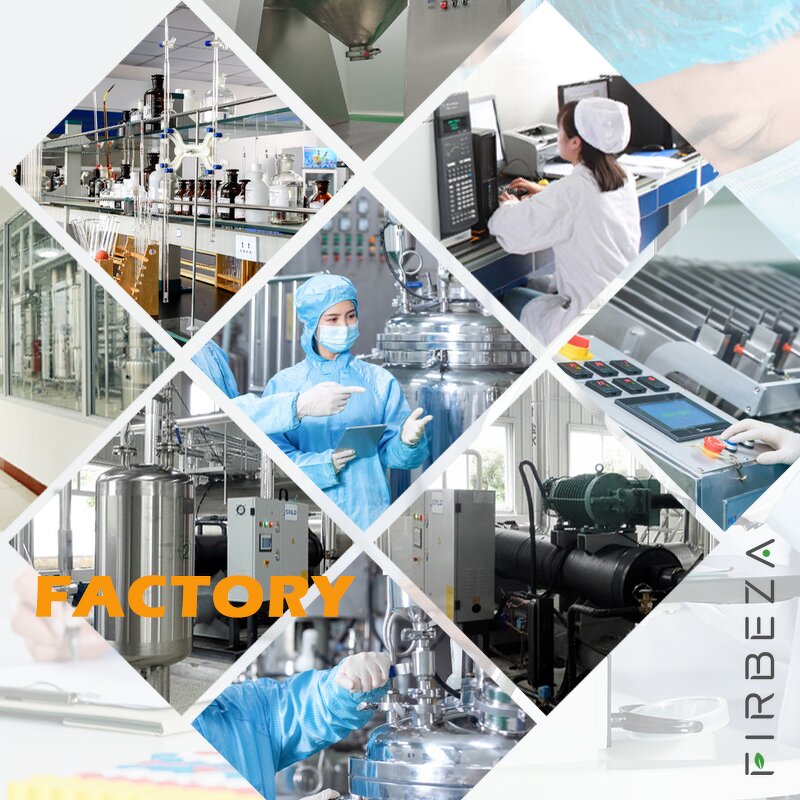 Vitamin C Powder - Manufacturer - Hot Sale Wholesale Food Additives L Ascorbic Acid