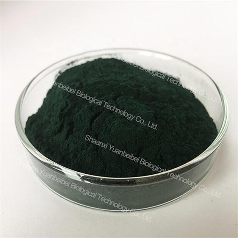 Spirulina Powder - Manufacturer - 65% Protein Wholesale Bulk Pure Organic Algae Extract