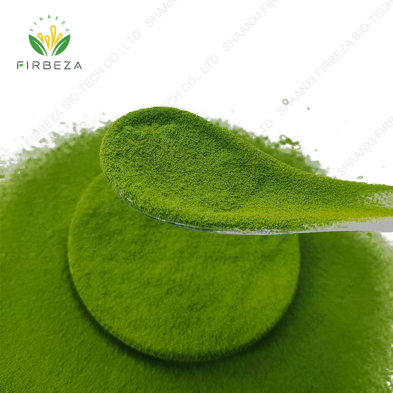 Matcha Powder - Manufacturer - High Quality Bulk Organic Ceremonial Grade Green Tea Powder