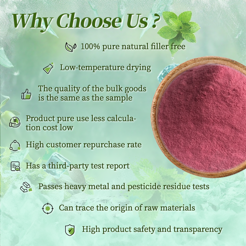 Blueberry Powder - Manufacturer - OEM ODM Pure Organic Water Soluble Blueberry Extract