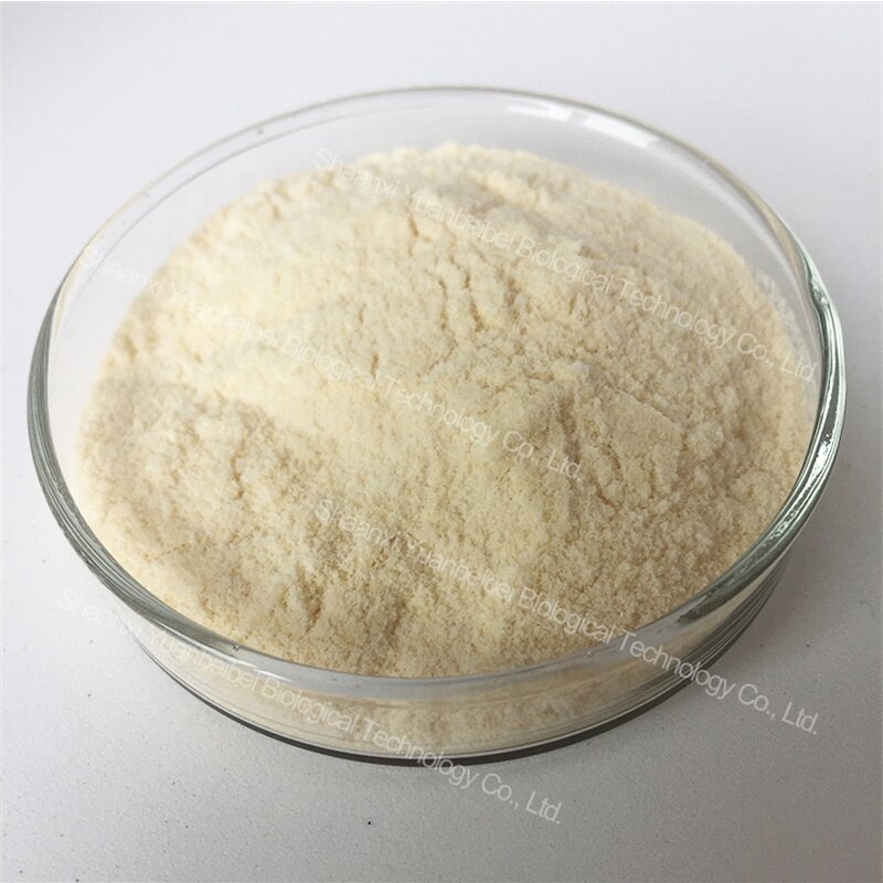Monk Fruit Extract - Manufacturer - Mogroside V Wholesale Pure Natural Luo Han Guo Powder