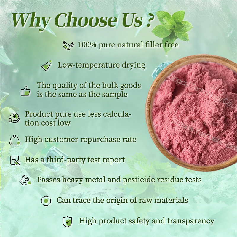 Blackcurrant Extract - Manufacturer - Organic 30:1 Instant Black Currant Juice Concentrate