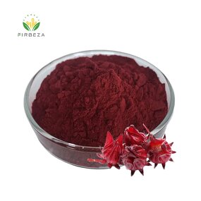 Hibiscus Extract Powder - Manufacturer - 100% Pure Natural Organic Roselle Flower Juice Powder