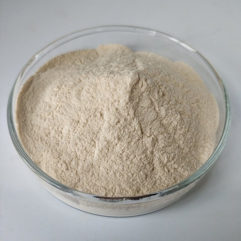 Beta Glucan Powder - Manufacturer - Bulk 80% Yeast Beta-glucan Pure Natural Powder