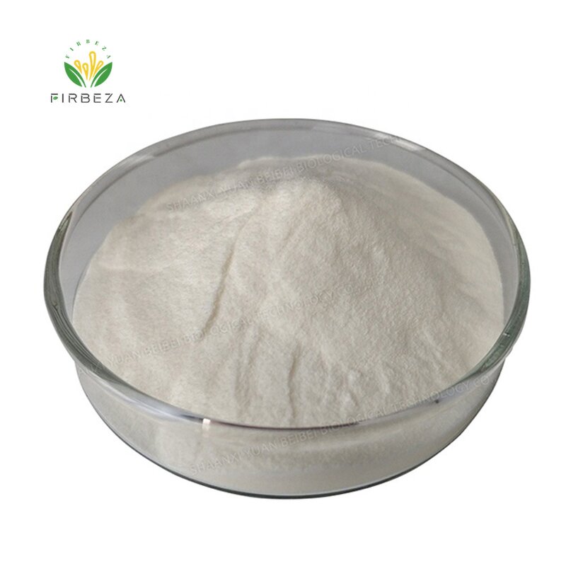 Lactobacillus Powder - Manufacturer - Health Care Probiotic Bacteria Digestion Promoting