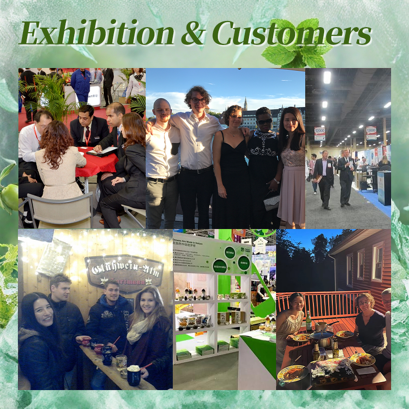 Raspberry Extract - Manufacturer - Bulk Freeze Dried Natural Organic Red Raspberry Powder