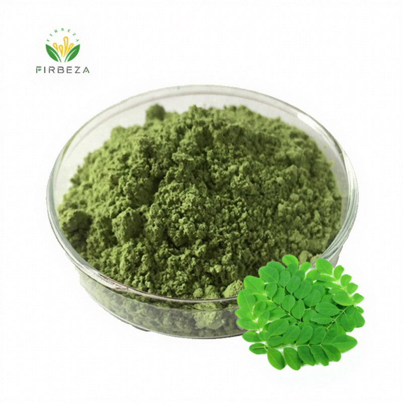 Moringa Extract Powder - Manufacturer - Bulk 100% Pure Organic 10:1 Leaf Extract Powder