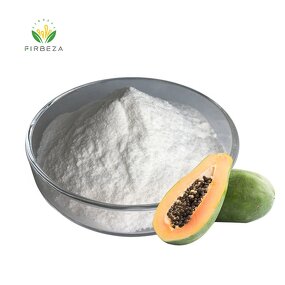 Papain Enzyme - Manufacturer - Good Price 100% Natural Papaya Extract Meat Tenderizer
