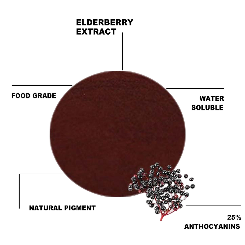 Elderberry Extract - Manufacturer - Best Price Bulk Pure Organic 25% Anthocyanin Powder