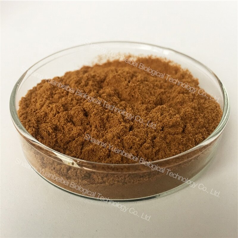 Maca Powder - Manufacturer - Wholesale 100% Pure Organic 10:1 Black Maca Root Extract Powder