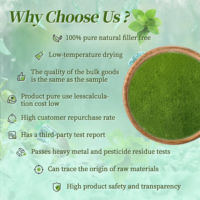 Matcha Powder - Manufacturer - AAAAAA Ceremonial Grade Organic Bulk Pure Green Tea Powder