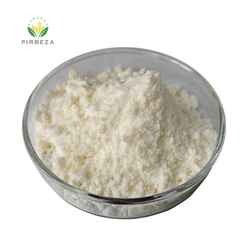 Yoghurt Powder - Manufacturer - Manufacture Supply Low Price Bulk Natural Organic Fermented