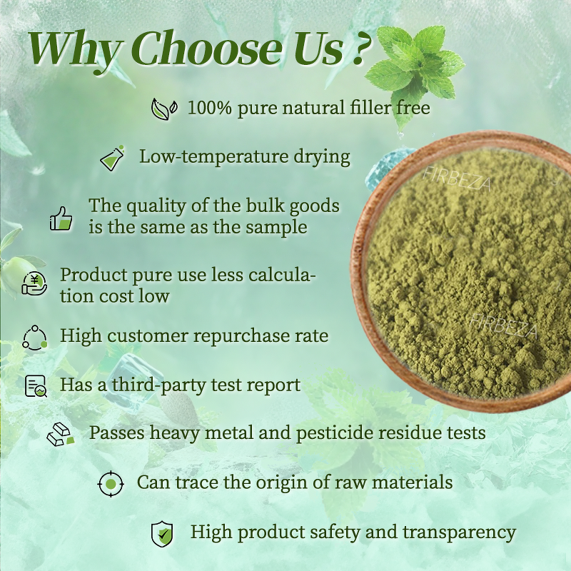 Spinach Juice Powder - Manufacturer - Food Grade Bulk Organic Natural Spinach Extract Powder