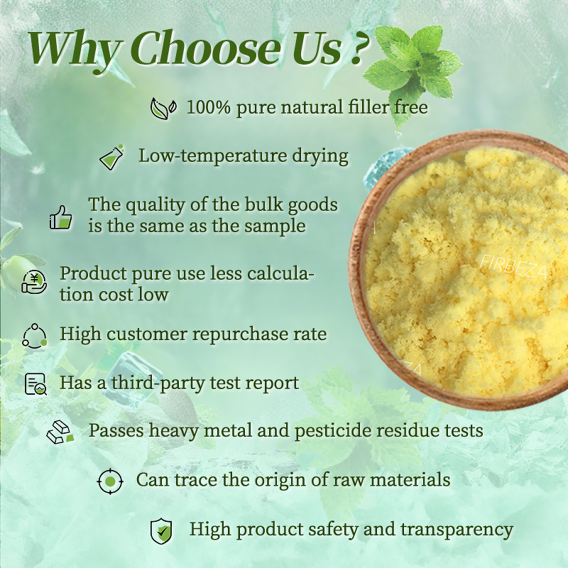 Ginger Extract Powder - Manufacturer - Bulk 20:1 Food Grade Instant Organic Root Juice