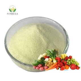 Fruit Vegetable Enzyme - Manufacturer - Pure Natural Comprehensive Weight Loss Powder