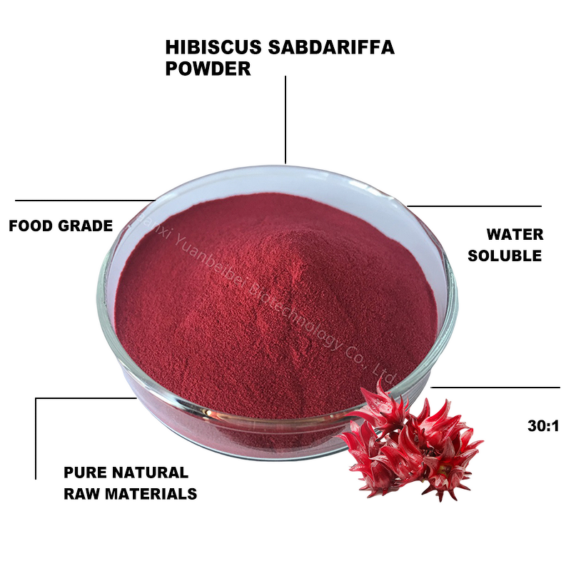 Roselle Hibiscus Extract - Manufacturer - Bulk 100% Natural Organic Red Pigment Juice Powder