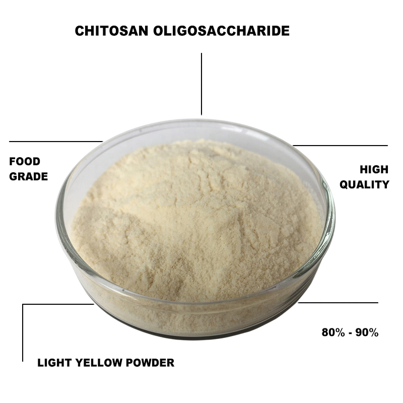 Chitosan Lactate - Manufacturer - CAS 148411-57-8 Food Grade Water Soluble Powder
