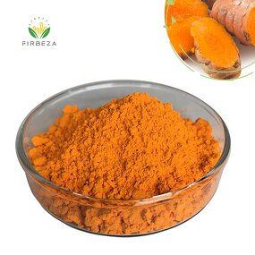 Turmeric Extract - Manufacturer - Wholesale 100% Pure Organic 10% 95% Curcumin Powder