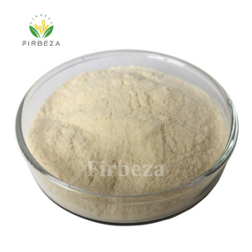 Chitosan Oligosaccharide - Manufacturer - 80%-90% Lactate Powder High Quality Food Additive