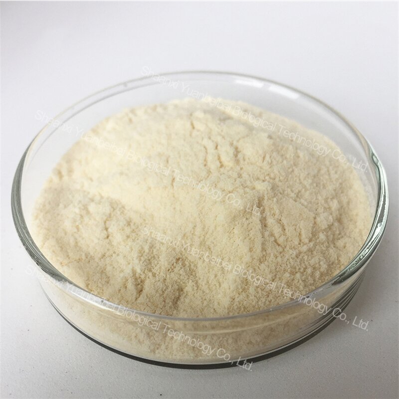 Pea Protein Powder - Manufacturer - Wholesale High Protein Bulk Organic 80% Isolate
