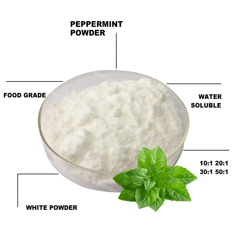 Peppermint Extract - Manufacturer - Best Price High Quality Pure Organic Mint Leaf Powder