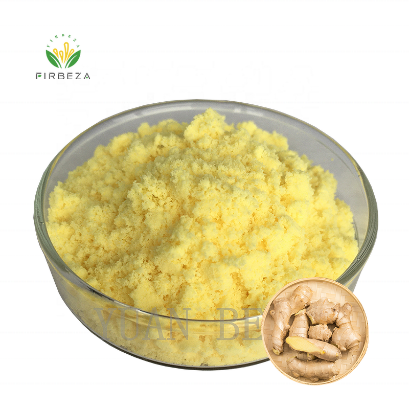 Ginger Extract Powder - Manufacturer - Bulk 20:1 Food Grade Instant Organic Root Juice