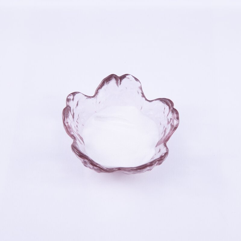 Sodium Bicarbonate Manufacturer - 99% Leavening Agent