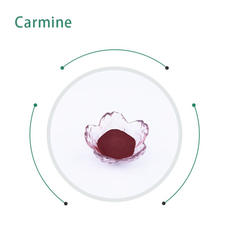 Cochineal Carmine Red Powder Manufacturer - Food & Cosmetic Grade Colorant
