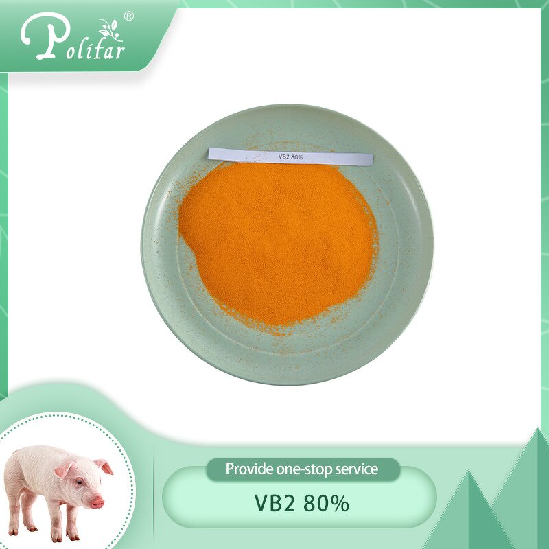 Riboflavin Manufacturer - B2 80% for Pig & Poultry Feed