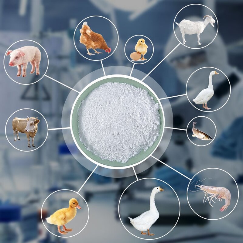 Sow Premix Manufacturer - for Pig Feed