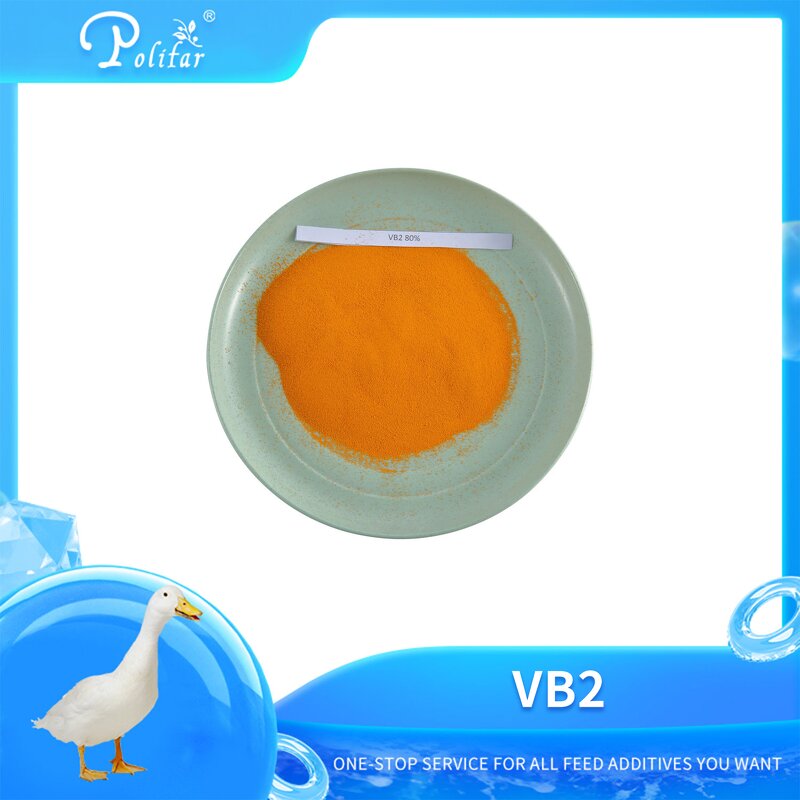 Riboflavin Manufacturer - B2 80% for Feed Additives