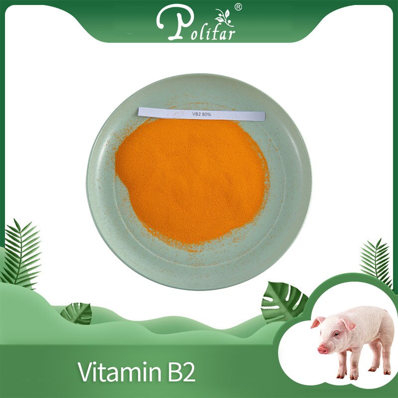 Riboflavin Manufacturer - B2 80% for Feed Additives