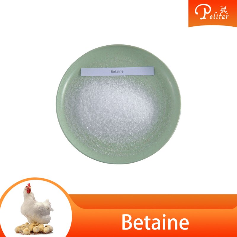 Betaine HCl Manufacturer - 98% Feed Grade for Animals