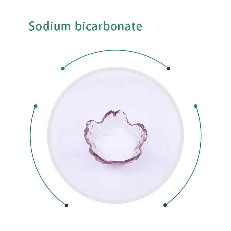 Sodium Bicarbonate Manufacturer - Food & Industrial Grade 99%