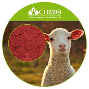 Vitamin B12 Powder - Factory - 100% Pure Methylcobalamin VB12 for Breastfeeding Nutrition