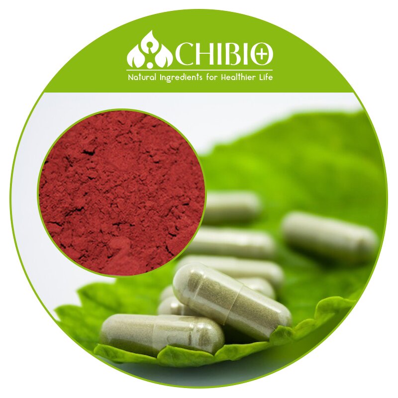 Vitamin B12 Powder - Factory - 100% Pure Methylcobalamin VB12 for Breastfeeding Nutrition