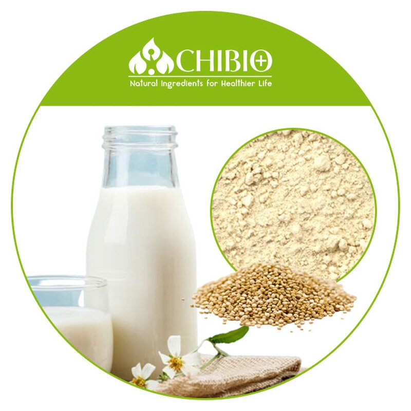 Quinoa Protein Powder - Manufacturer - 100% Vegan Protein for Beverage Protein Shake