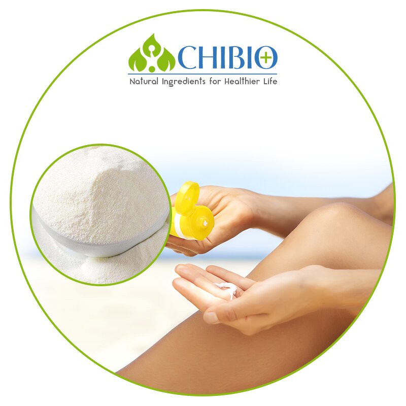 Ferulic Acid Powder - Manufacturer - Top Grade Vegetal Sourced for Skin Health