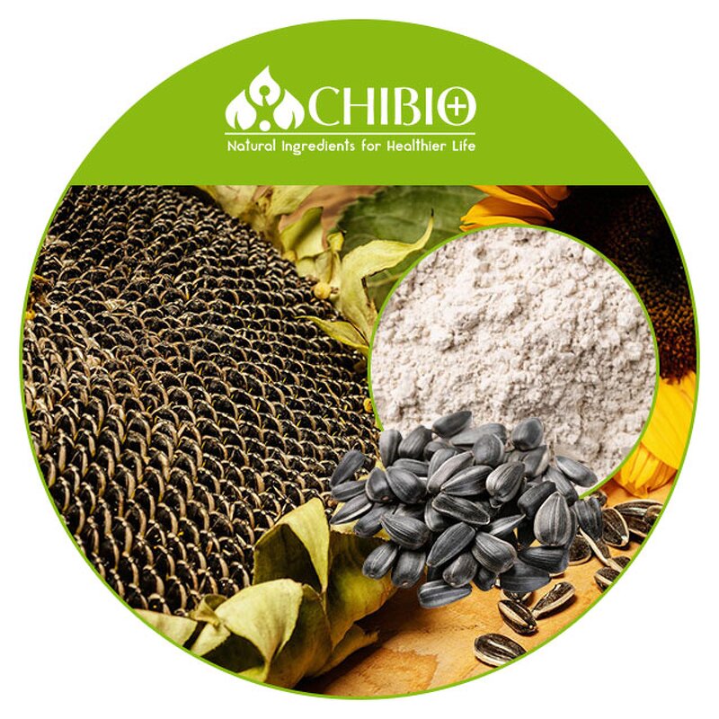 Sunflower Seed Protein - Manufacturer - Organic Low Fat Protein Fusion Powder