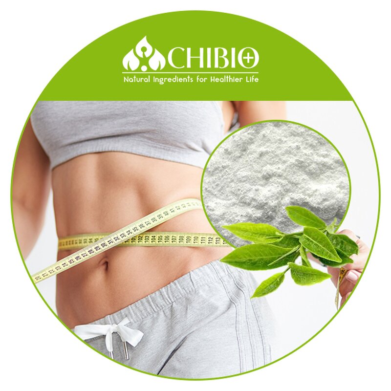 Theacrine Powder - Manufacturer - 99% Kucha Extract for Fat Burning Energy Supplement