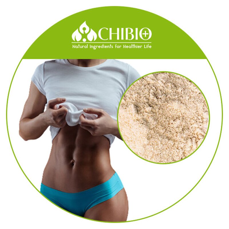 Oat Protein Powder - Factory - Organic Bulk Price for Body Health Nutritional Food