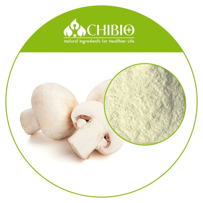 Fungal Chitosan Powder - Factory - Kosher Certified CAS 9012-76-4 Bulk Supply