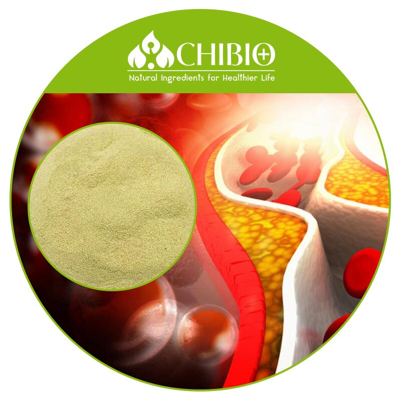 Sodium Alginate Powder - Manufacturer - High Viscosity for Cardiovascular Health