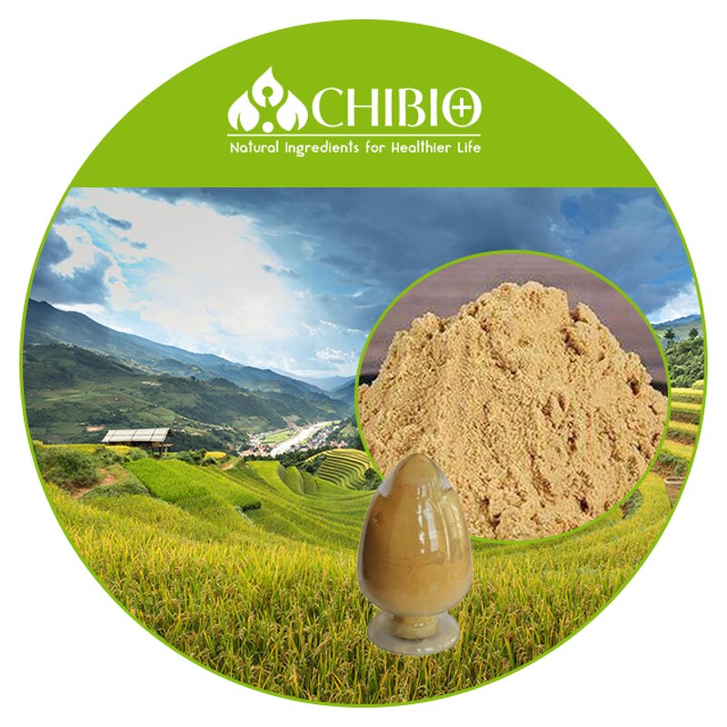 Chitosan Oligosaccharide - Manufacturer - Water Soluble Chitosan Oligo Bulk Powder
