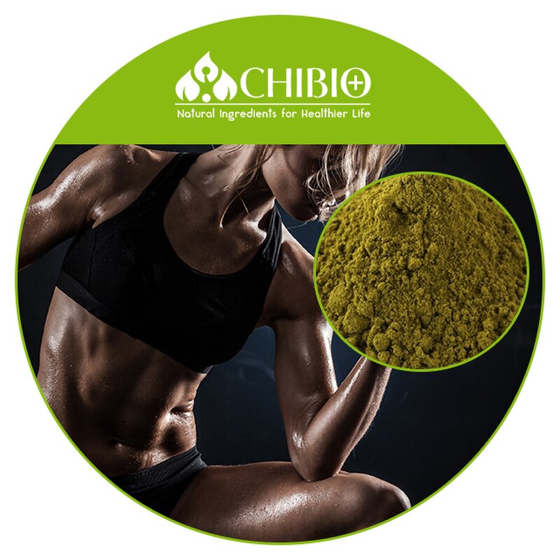 Hemp Protein - Manufacturer - Organic Vegan Protein for Supplement Raw Material